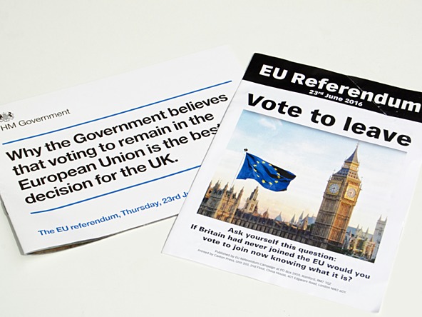EU referendum leaflets_crop